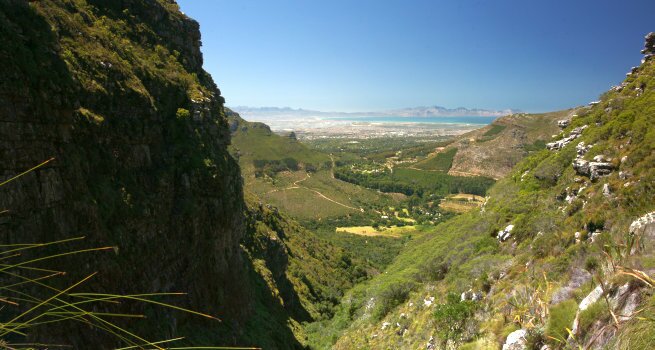 Myburgh's Ravine :: Myburgh’s Ravine is one of the Table Mountain Range’s gems, best known for the...